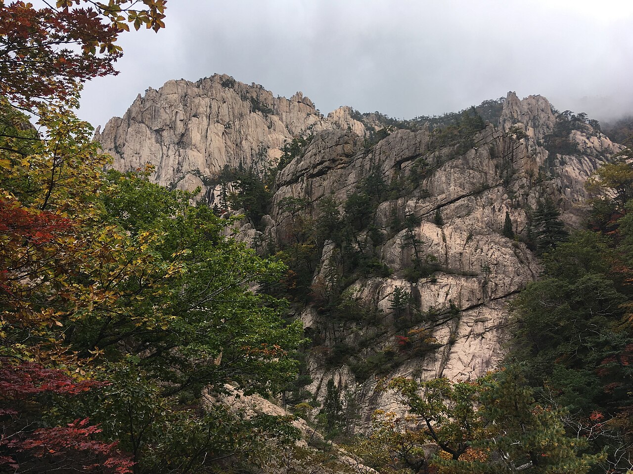 Autumn