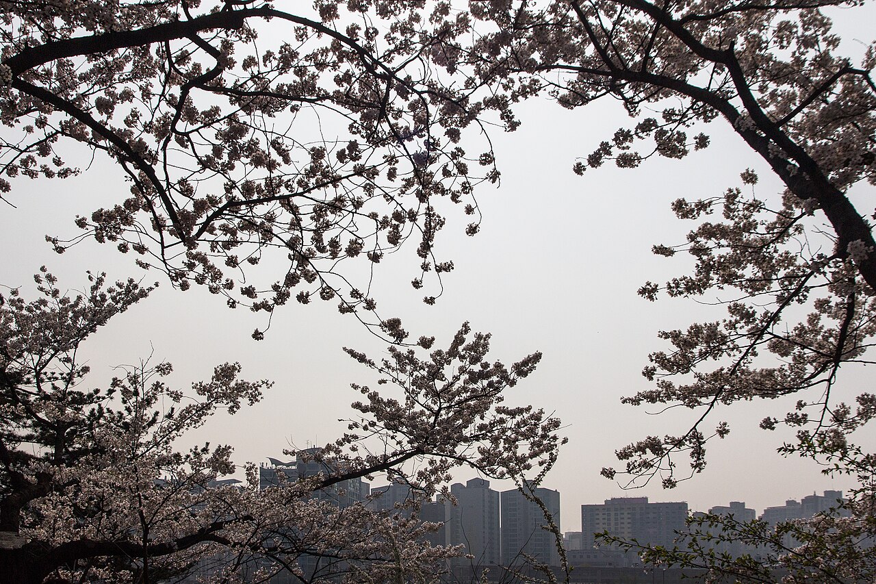 Spring